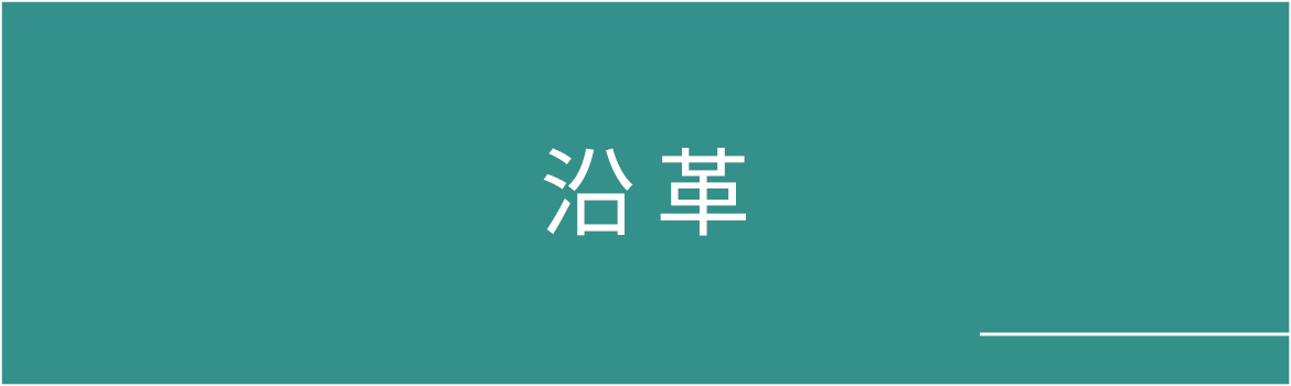 沿革